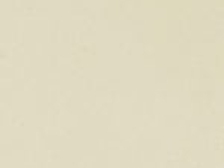 Beige Beige