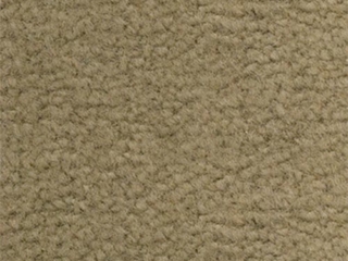 Beige Carpet Standard Color Beige Carpet Standard Color