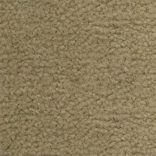 Beige Carpet Standard Color