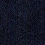 Blue Carpet Standard Color