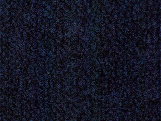 Blue Carpet Standard Color Blue Carpet Standard Color