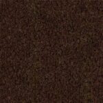 Brown Carpet Standard Color