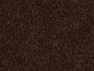 Brown Carpet Standard Color Brown Carpet Standard Color