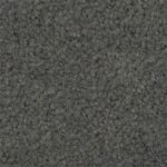 Gray Carpet Standard Color