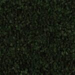 Green Carpet Standard Color