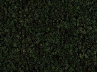 Green Carpet Standard Color Green Carpet Standard Color